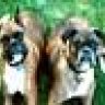 Wally & Reub