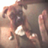 TyzesBuddy