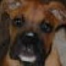 boxerkobe
