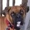 Remington
