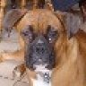rosko2323