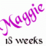 MyMaggie