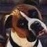 JBBOXERLOVE