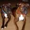 Daisy&Dixie