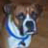 Buster Brown
