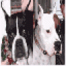 Rena&Chopper