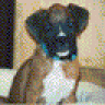 Digby
