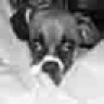 CutieChloe