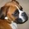 Maximus0404