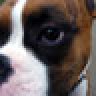 theDogger