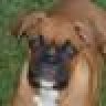DUBIE