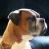 wagsg