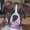 daisy05