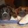 MBBoxer