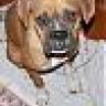 Chula'sHuman