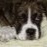 Kahne's Mom