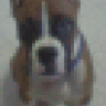 IluvMyZeus
