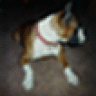 pugnbox