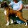 Ahli's_Mum