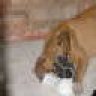 luvmyboxer07