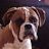 Baxter DPF