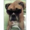 PReShusBoXeR