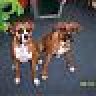 scoobdoob808