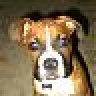 cbpups06