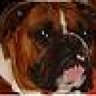 Rockys_Momma