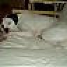 Baxter0316