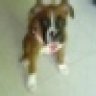 LovemyRoxie