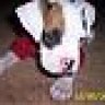 gerbert