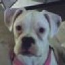 ElliesMyGirl