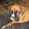 Pixies Mum