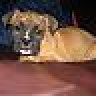 pennylane