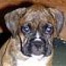 Radley
