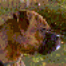 brandi's mom