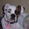 mygirldaisy