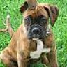 Nadya