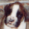 AngusThermopile