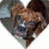 nellie