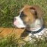 LeroyJethro