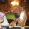 BrooklynsMom