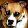 RoxyRoo
