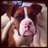winstonqmama