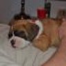 Boxy Roxy