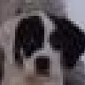 ChestersMommy