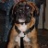 kahlua
