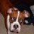 joetheboxer