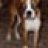 Samson
